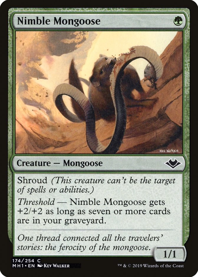 Nimble Mongoose [Modern Horizons] | Game Grid - Logan