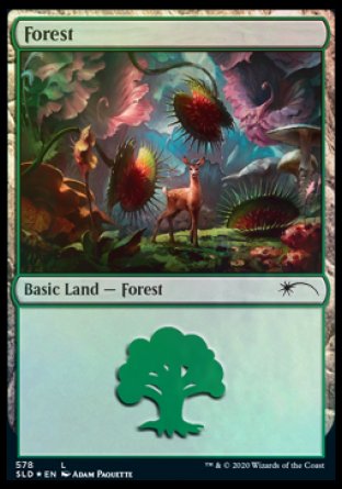 Forest (Predatory) (578) [Secret Lair Drop Promos] | Game Grid - Logan