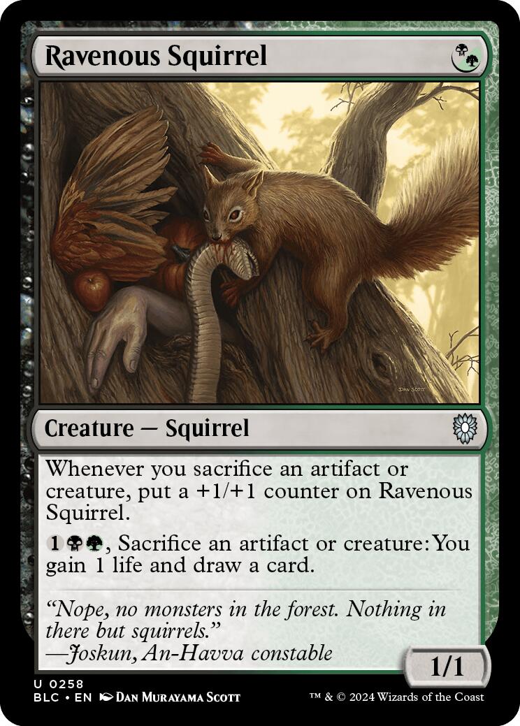 Ravenous Squirrel [Bloomburrow Commander] | Game Grid - Logan