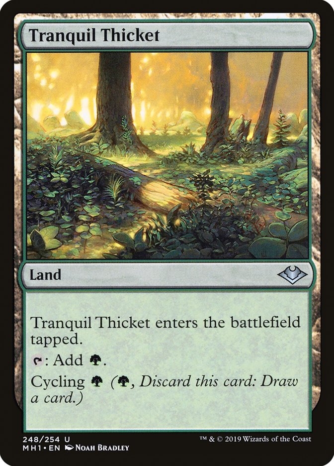 Tranquil Thicket [Modern Horizons] | Game Grid - Logan