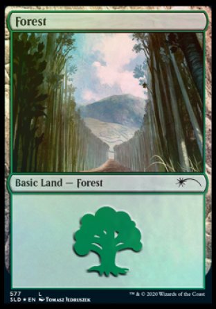 Forest (Walls) (577) [Secret Lair Drop Promos] | Game Grid - Logan