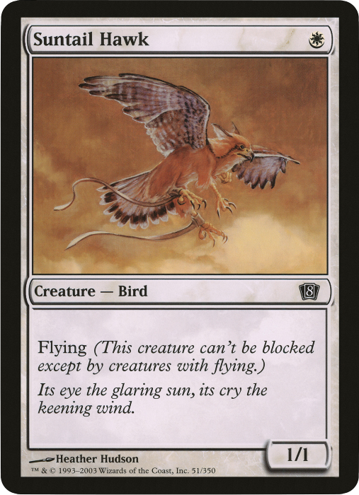 Suntail Hawk (Oversized) [Eighth Edition Box Topper] | Game Grid - Logan