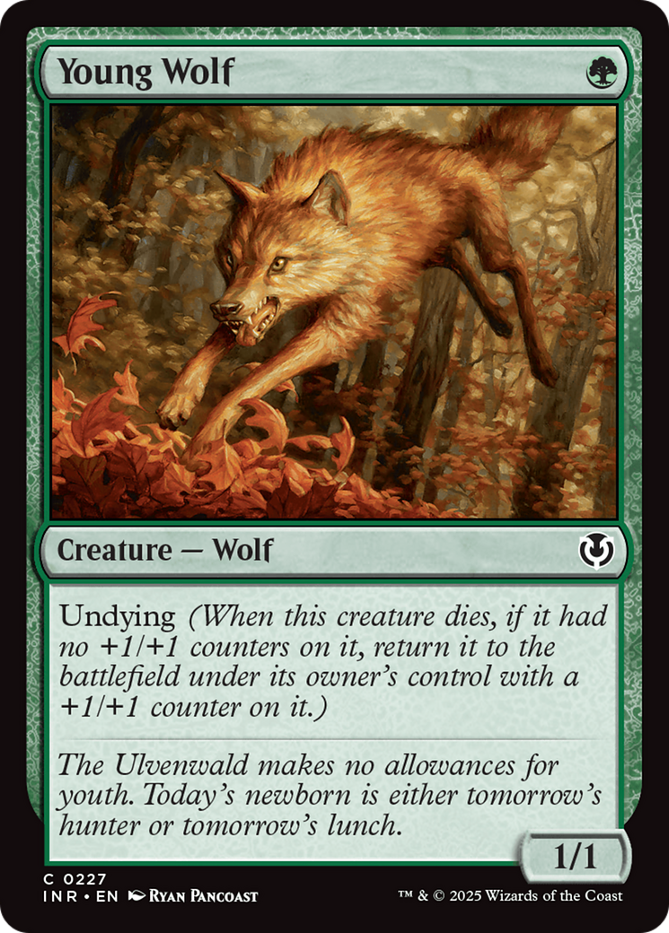 Young Wolf [Innistrad Remastered] | Game Grid - Logan