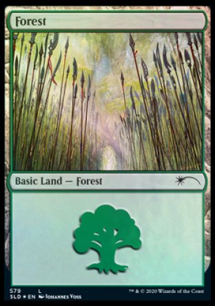 Forest (Elves) (579) [Secret Lair Drop Promos] | Game Grid - Logan