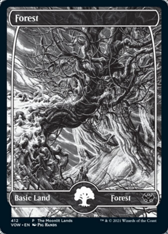 Forest (The Moonlit Lands) (Foil Etched) [Innistrad: Crimson Vow Promos] | Game Grid - Logan