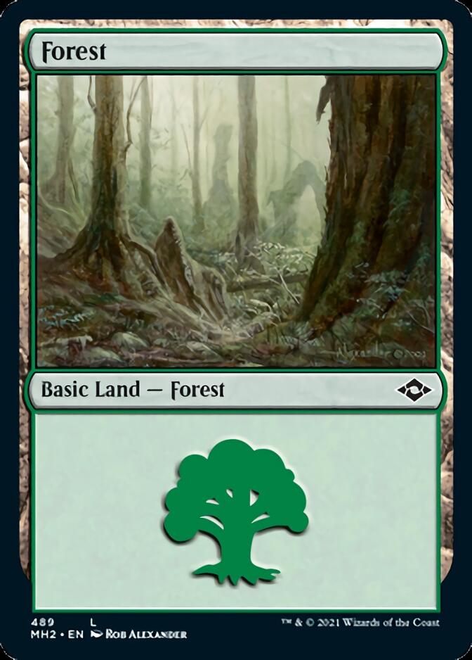 Forest (489) (Foil Etched) [Modern Horizons 2] | Game Grid - Logan