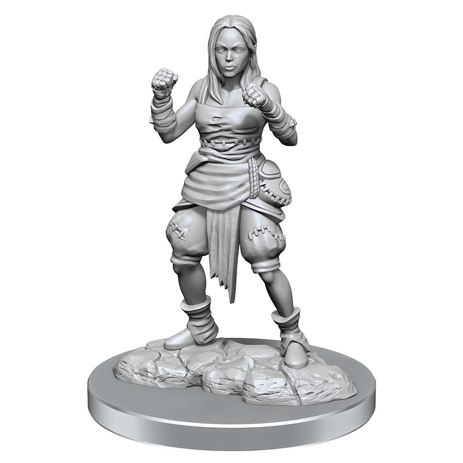 Pathfinder Mini (W21): Female Half-Elf Monk | Game Grid - Logan