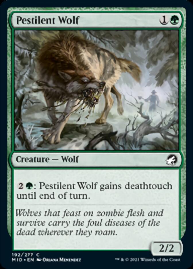 Pestilent Wolf [Innistrad: Midnight Hunt] | Game Grid - Logan