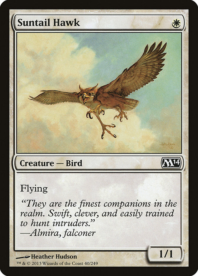 Suntail Hawk [Magic 2014] | Game Grid - Logan