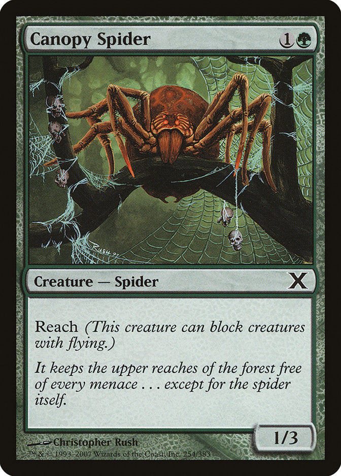 Canopy Spider [Tenth Edition] | Game Grid - Logan