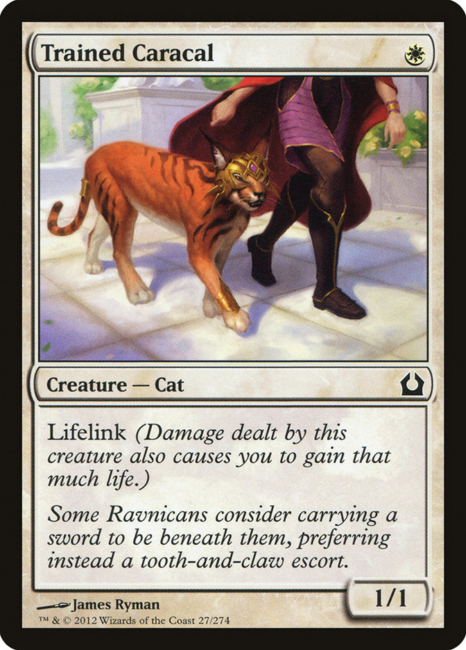 Trained Caracal [Return to Ravnica] | Game Grid - Logan