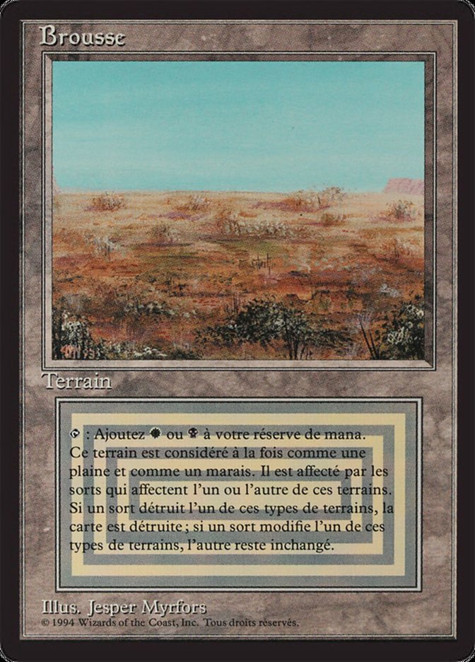 Scrubland [Foreign Black Border] | Game Grid - Logan