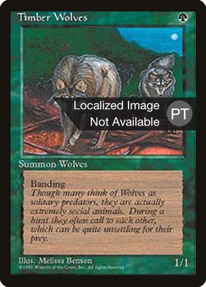 Timber Wolves [Fourth Edition (Foreign Black Border)] | Game Grid - Logan