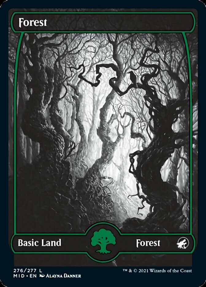 Forest (276) [Innistrad: Midnight Hunt] | Game Grid - Logan