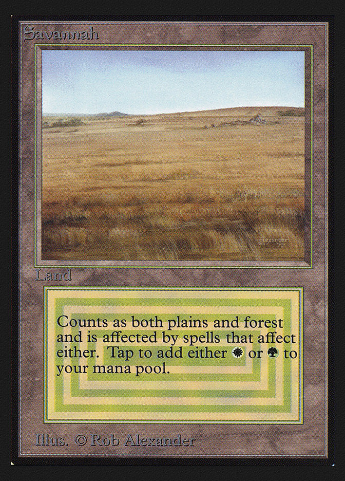 Savannah [Collectors' Edition] | Game Grid - Logan