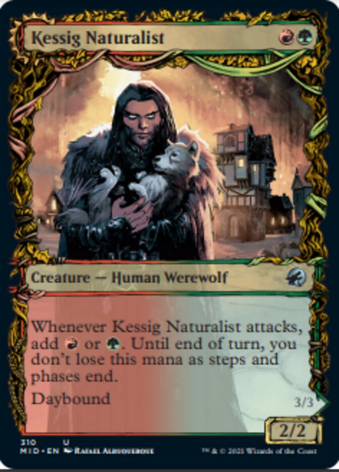 Kessig Naturalist // Lord of the Ulvenwald (Showcase Equinox) [Innistrad: Midnight Hunt] | Game Grid - Logan