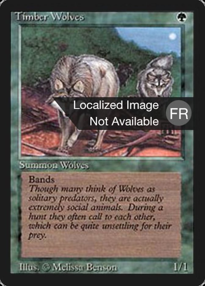 Timber Wolves [Foreign Black Border] | Game Grid - Logan