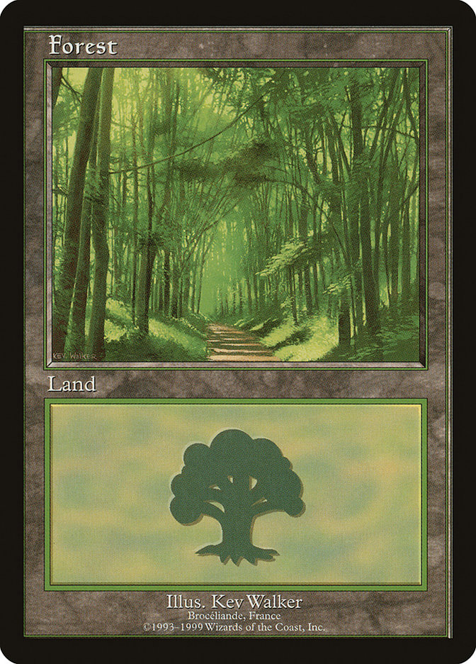 Forest (6) [European Land Program] | Game Grid - Logan