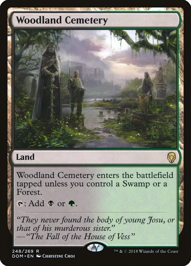 Woodland Cemetery [Dominaria] | Game Grid - Logan