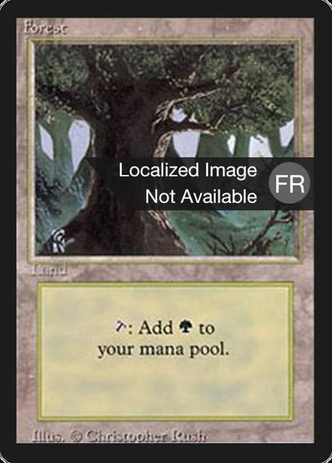 Forest (A) [Foreign Black Border] | Game Grid - Logan
