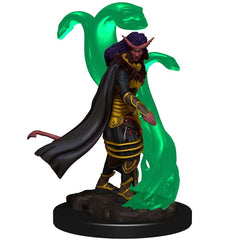 D&D Premium Painted Mini: Female Tiefling Sorcerer | Game Grid - Logan