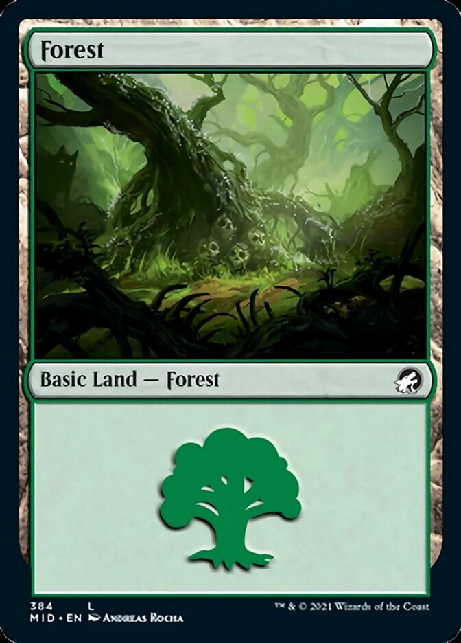 Forest (384) [Innistrad: Midnight Hunt] | Game Grid - Logan