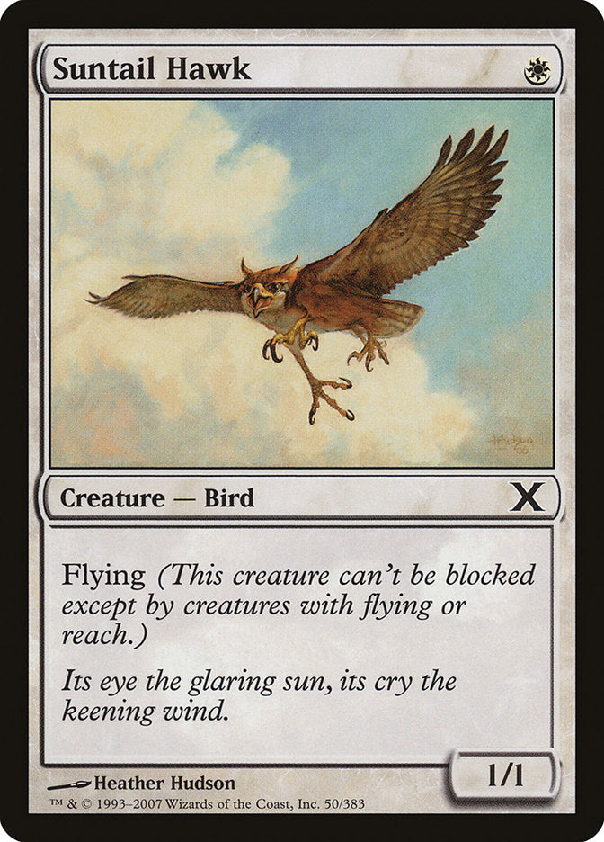 Suntail Hawk [Tenth Edition] | Game Grid - Logan
