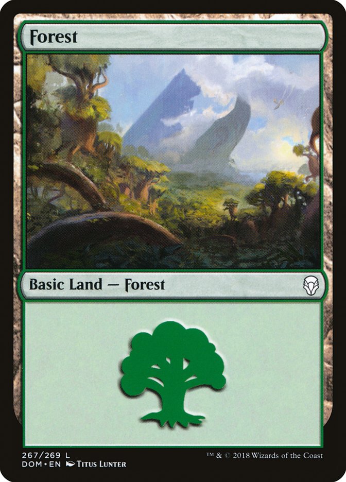 Forest (267) [Dominaria] | Game Grid - Logan