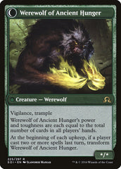 Sage of Ancient Lore // Werewolf of Ancient Hunger [Shadows over Innistrad] | Game Grid - Logan