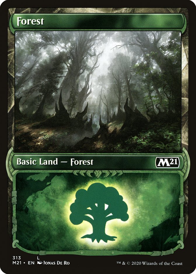 Forest (313) (Showcase) [Core Set 2021] | Game Grid - Logan