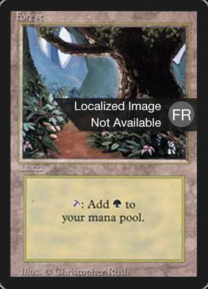 Forest (B) [Foreign Black Border] | Game Grid - Logan