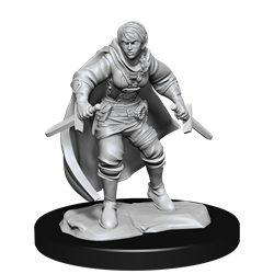 D&D Mini (W14): Female Half-Elf Rogue | Game Grid - Logan