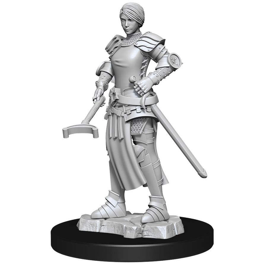 WizKids Deep Cuts - Castle: Kingdom Retainers Miniature Set | Game Grid - Logan