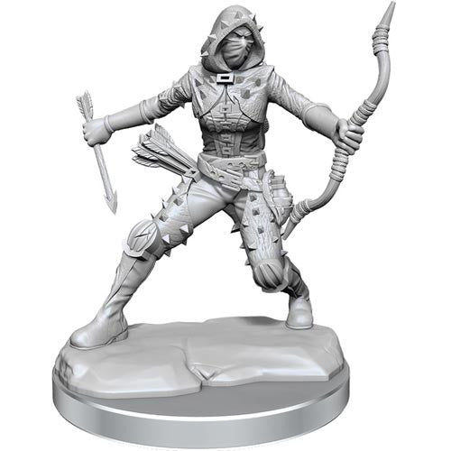 D&D Frameworks Mini (W01): Female Human Rogue | Game Grid - Logan