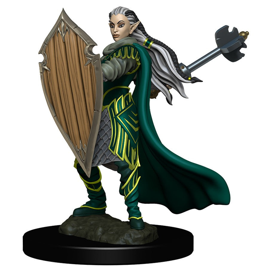 D&D Painted Mini (W04): Female Elf Paladin | Game Grid - Logan